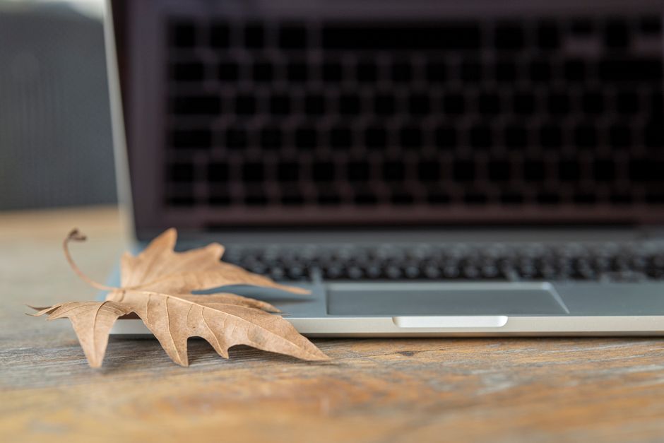 Close-up of a dry maple leaf on a modern laptop, symbolizing fall season and technology fusion.