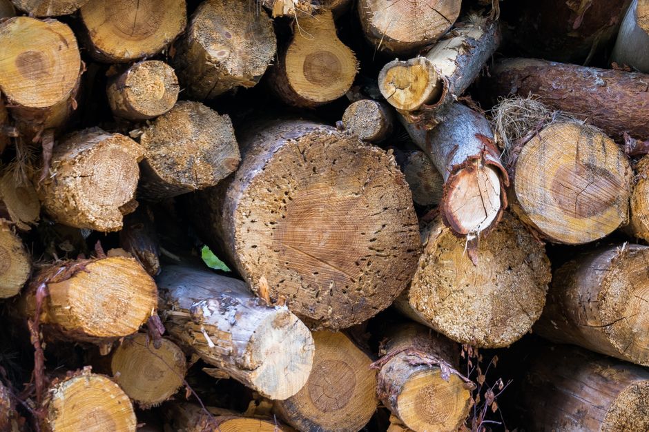 A close-up view of stacked firewood logs showcasing the intricate textures and patterns in natural wood.